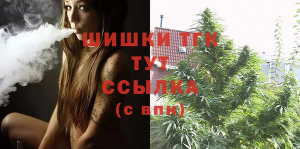 ешки Богданович