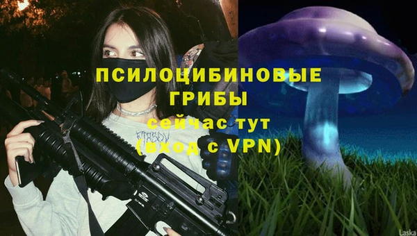 гашик Богородицк