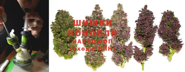 хмурый Богородск