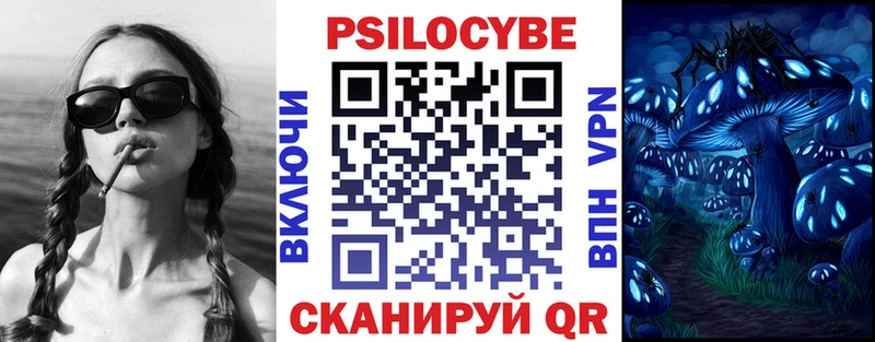 гидра ссылки  Астрахань  Галлюциногенные грибы Psilocybine cubensis 